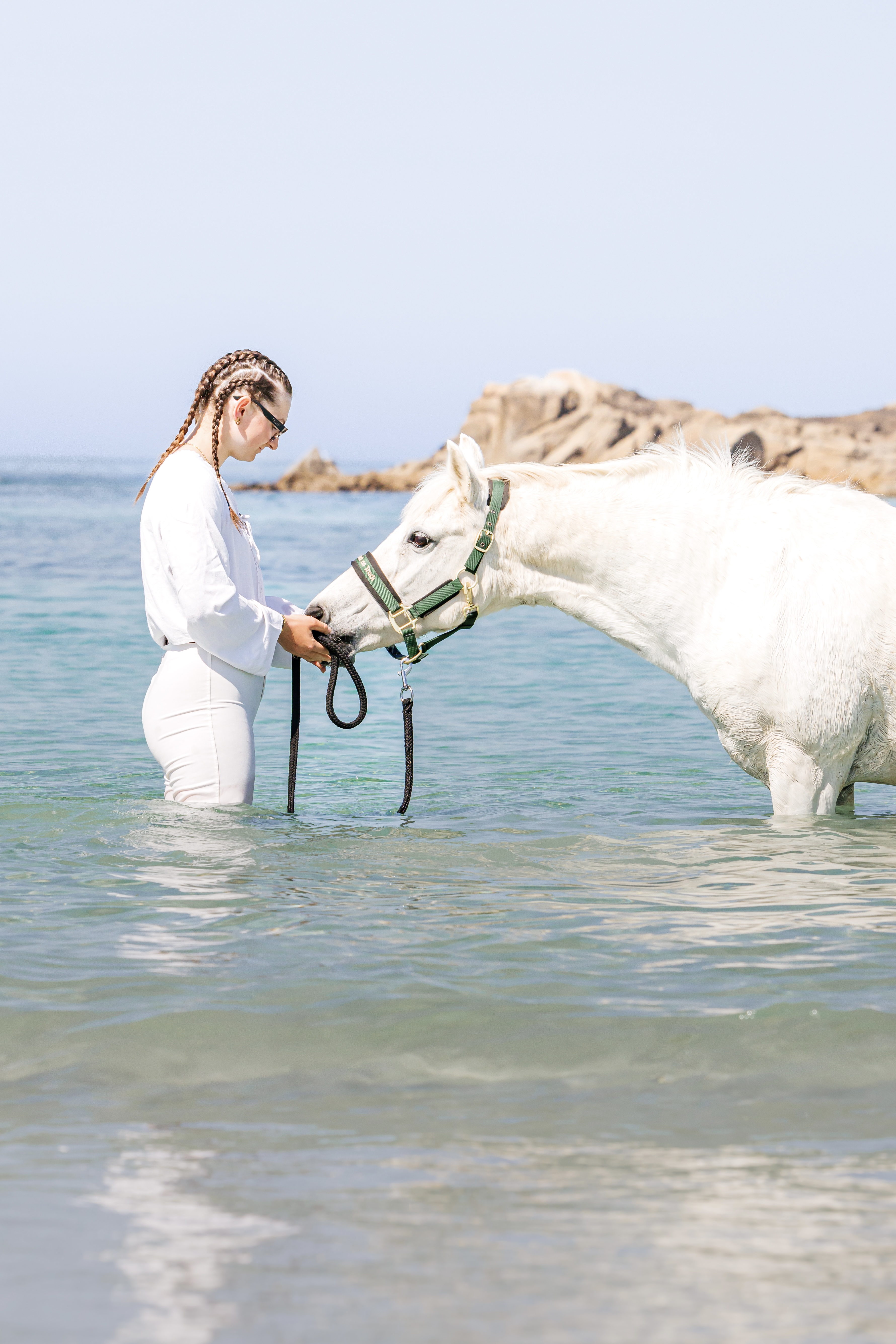Chevaux