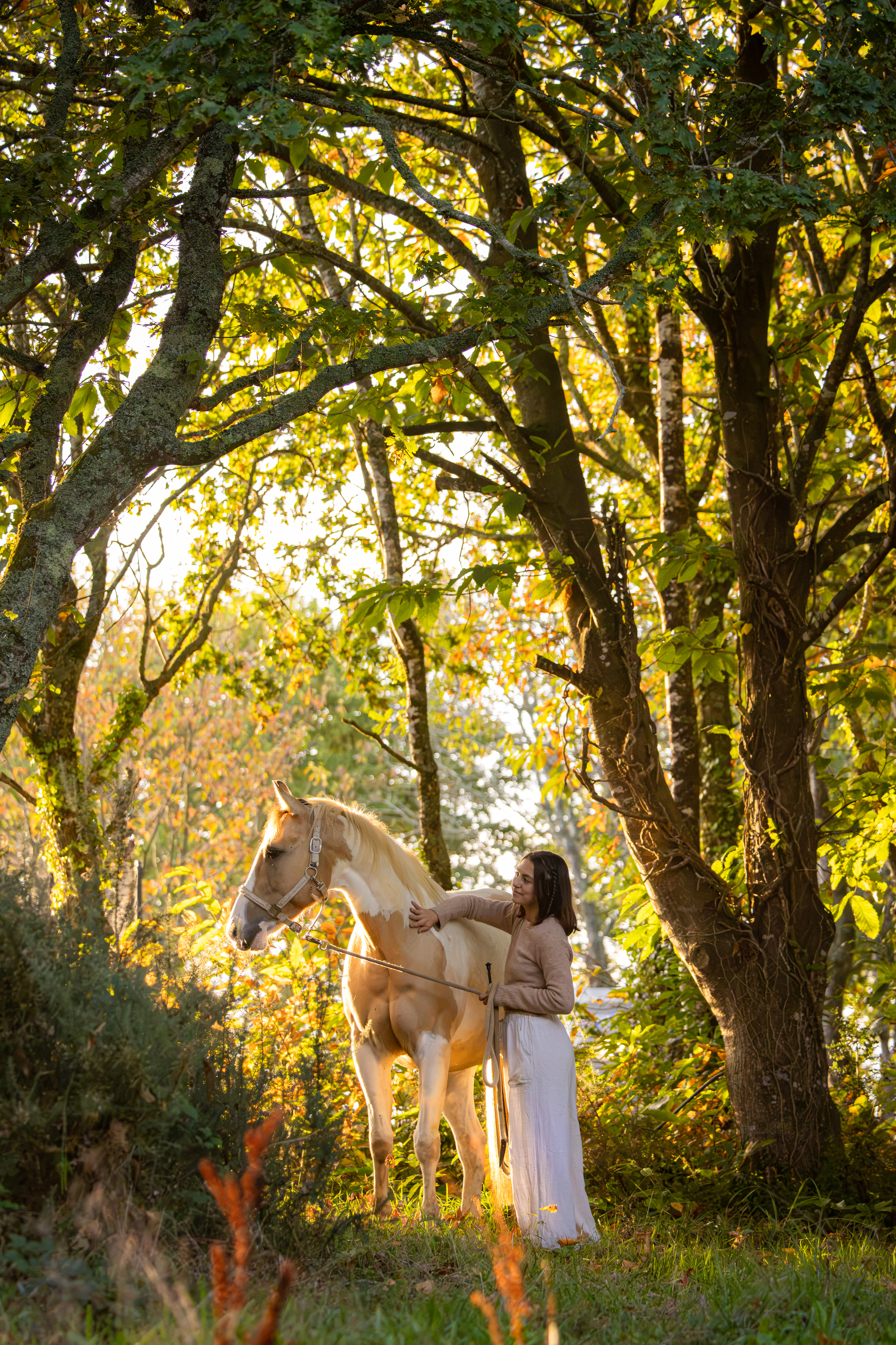 automne