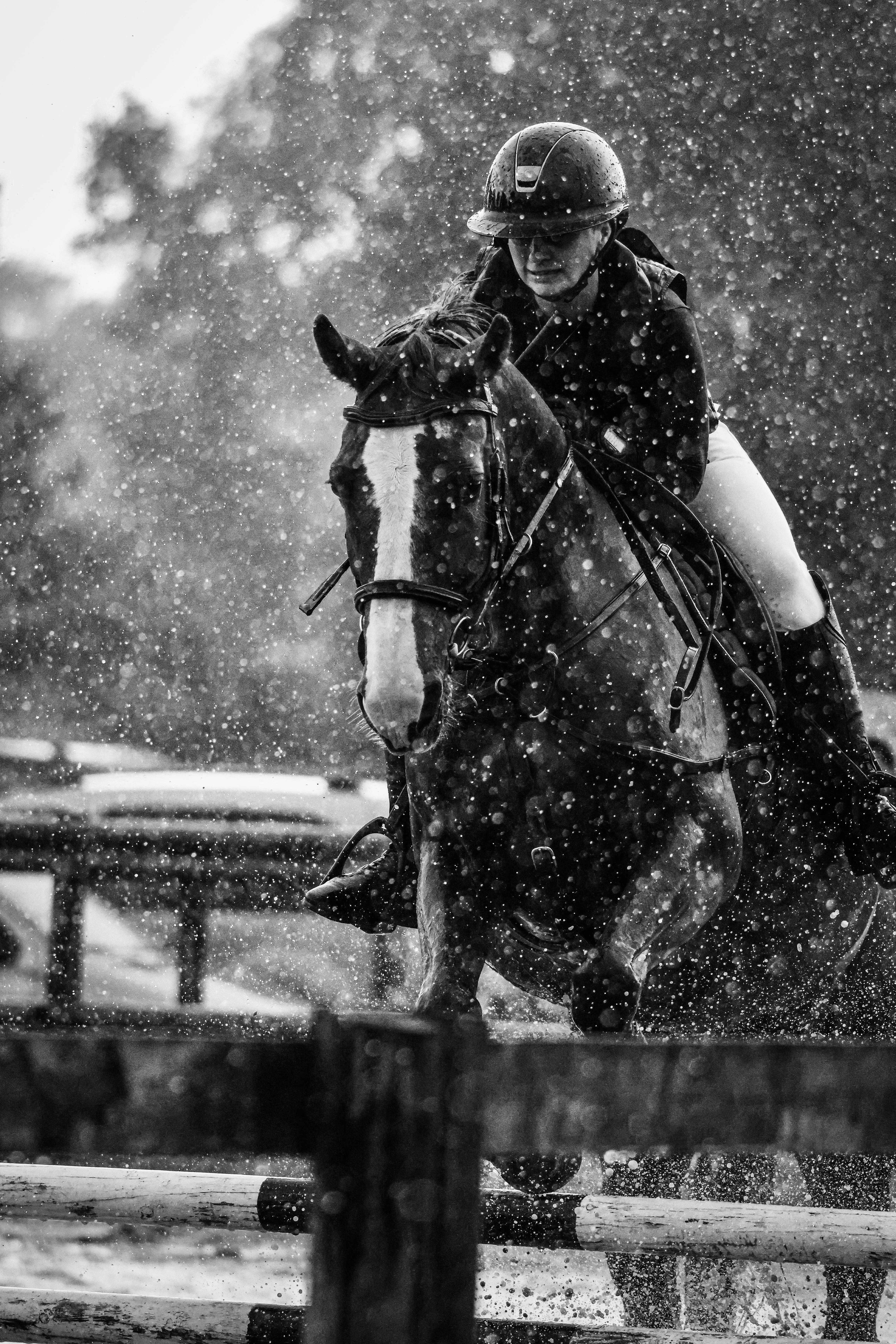 hiver